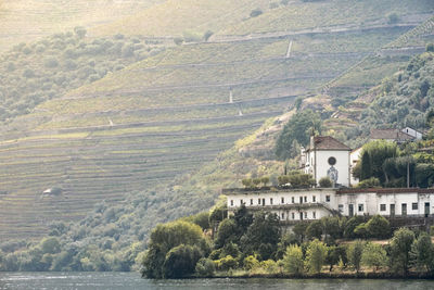 Landscape in the douro river, alto douro wine valley