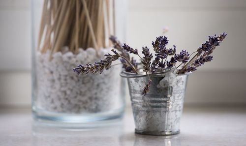 Close-up of a plant on window sill