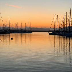 Sailboats in marina at sunset