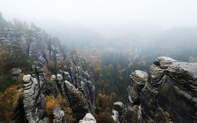 Scenic view of tree and mountains during foggy weather