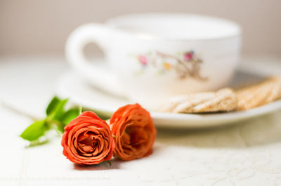 Close-up of food on table