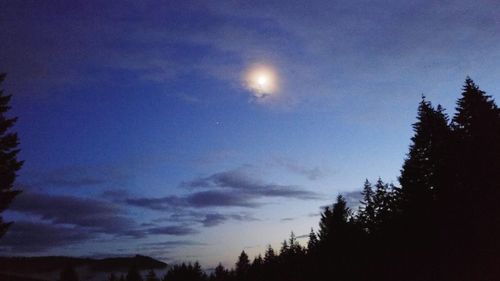 High section of silhouette trees against scenic sky