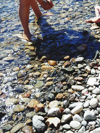 Low section of people with pebbles at beach