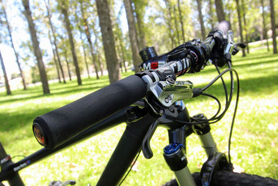 Man photographing bicycle in forest