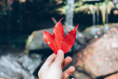 Close-up of hand holding maple leaf against waterfall during autumn