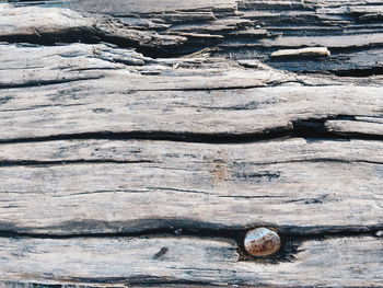 Close-up of wooden plank