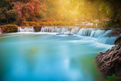 Scenic view of waterfall in forest during autumn