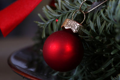 Close-up of christmas tree