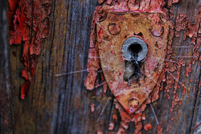 Close-up of rusty metal