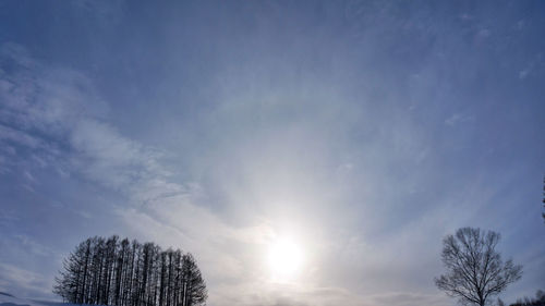 Low angle view of bare tree against sky