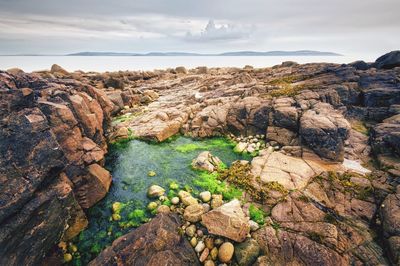 Dramatic cloudy seascape scenery of rocky coast at wild atlantic way with green algae in foreground 