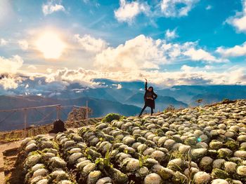 Woman standing at farm against sky during sunny day