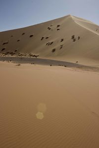 Sand dunes in desert against clear sky