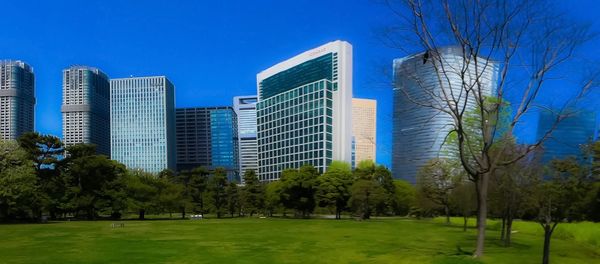 Trees in city against blue sky