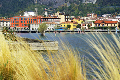 Houses by river and buildings in city