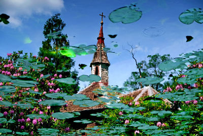 Low angle view of flowering plants by building against sky