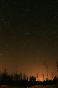 Low angle view of starry sky