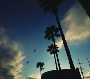 Low angle view of trees against sky