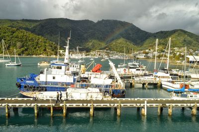 Sailboats moored at harbor