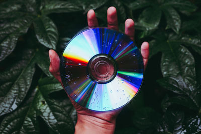 Close-up of human hand holding wet compact disc against plants