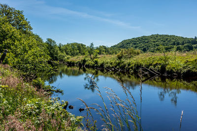 Scenic view of lake by trees against blue sky