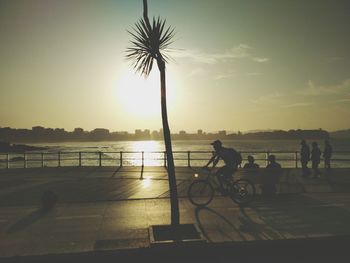 Silhouette palm tree by sea against sky during sunset