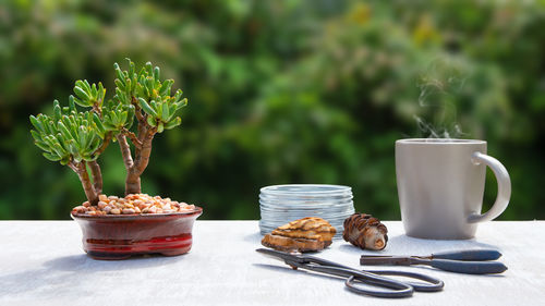 Close-up of breakfast on table