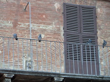 Building exterior of building