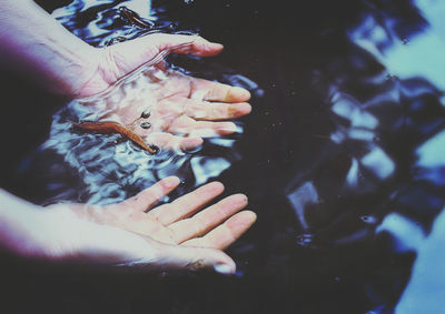 Close-up of hand holding fish swimming in water