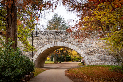 Arch bridge in park during autumn