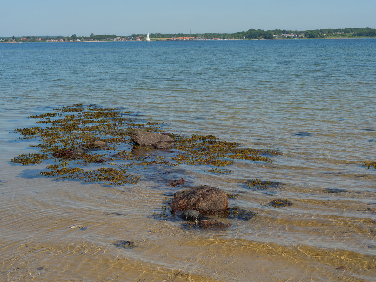 SCENIC VIEW OF SEA AND SHORE