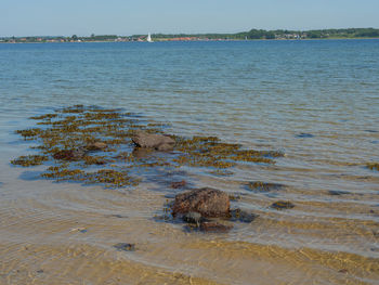 Scenic view of sea shore