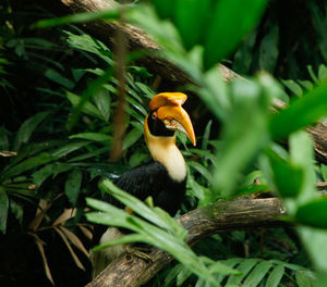 Bird perching on a branch