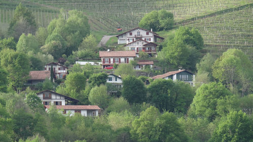 Houses amidst trees and buildings in forest