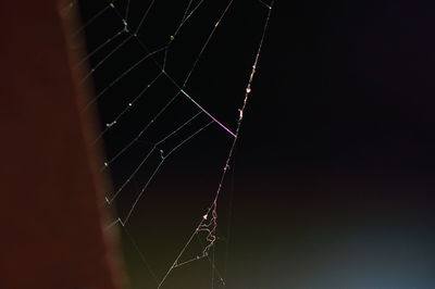 Low angle view of spider web against sky at night