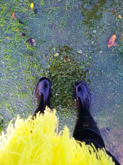 Gumboots kinda day