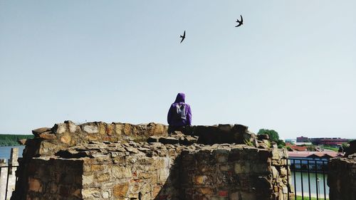 Low angle view of birds flying against clear sky