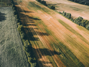 High angle view of agricultural field