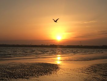 Scenic view of sunset over sea