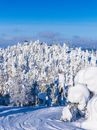 Snow covered field against sky