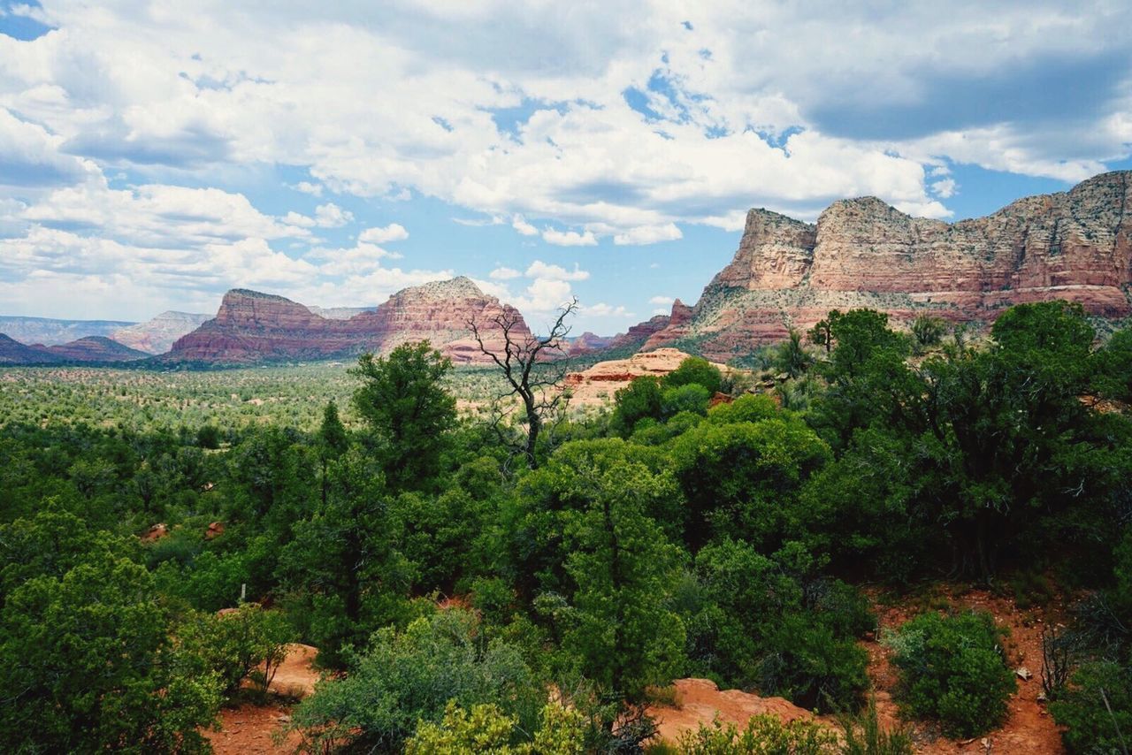 SCENIC VIEW OF LANDSCAPE