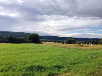 Scenic view of field against sky