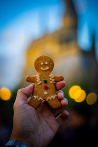 Close-up of hand holding cookies