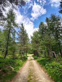 Footpath amidst trees in forest against sky