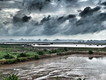 Scenic view of river against sky