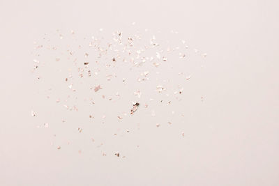 Low angle view of birds flying over white background