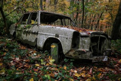 Abandoned car parked by trees in forest during autumn