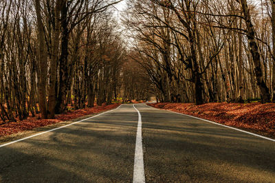 Road amidst bare trees in forest during autumn