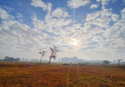 Scenic view of field against sky