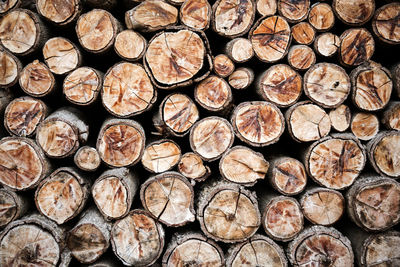 Full frame shot of logs in forest